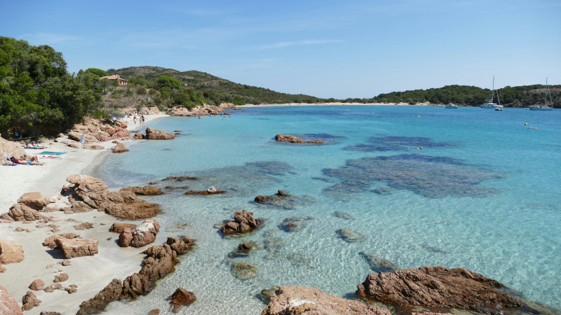 Tropical beach with clear blue waters in Corsica