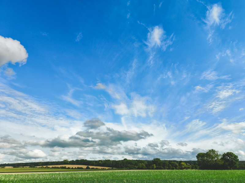 Journée ensoleillée sur un champ verdoyant sous un ciel éclatant et vaste.