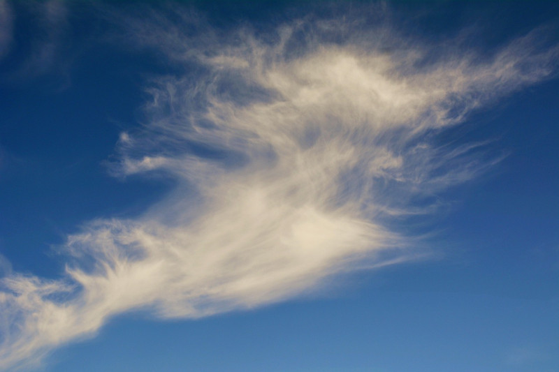 nuage, des nuages, chéri, paysage, la nature, belle, climat, firmament, météorologie, le printemps, bleu, blanc, environnement, journée, sunny, air, léger, nuageux, haute, couleur, cirrus, beauté, naturel, vent