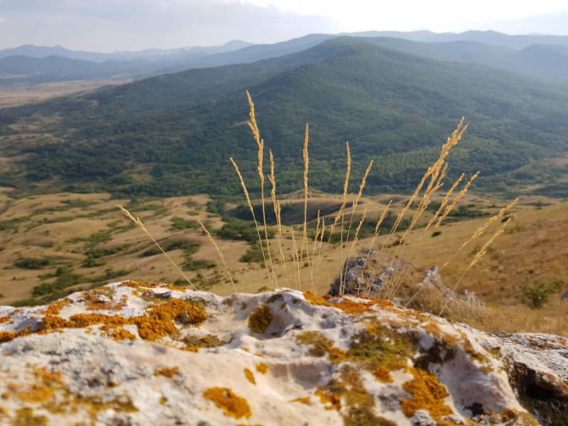 paysage, tourisme, voyager, montagnes, grass, from above, ciel bleu, panorama, hills, season, heat, summer, nature, ciel, jaune, rochers, pierre, bleu, hill, des nuages, ouvert, voyages, le pittoresque, ambiance