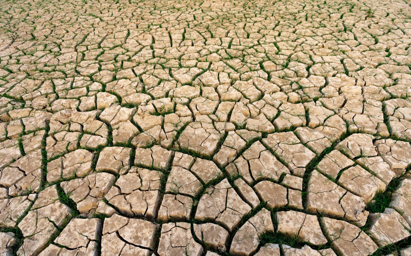 Une terre craquelée et sèche avec des parcelles d'herbe, illustrant la sécheresse et le changement climatique.