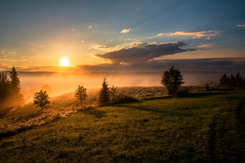 Hopeful Horizons