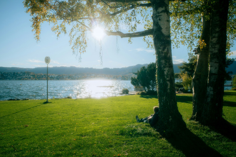 Sun shines over a lake with grassy shore.