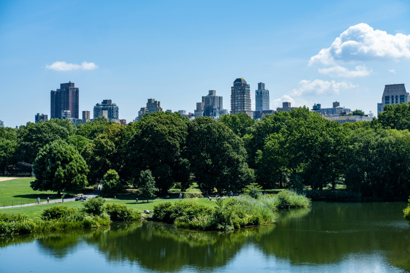 a park with trees and a body of water with a city in the background