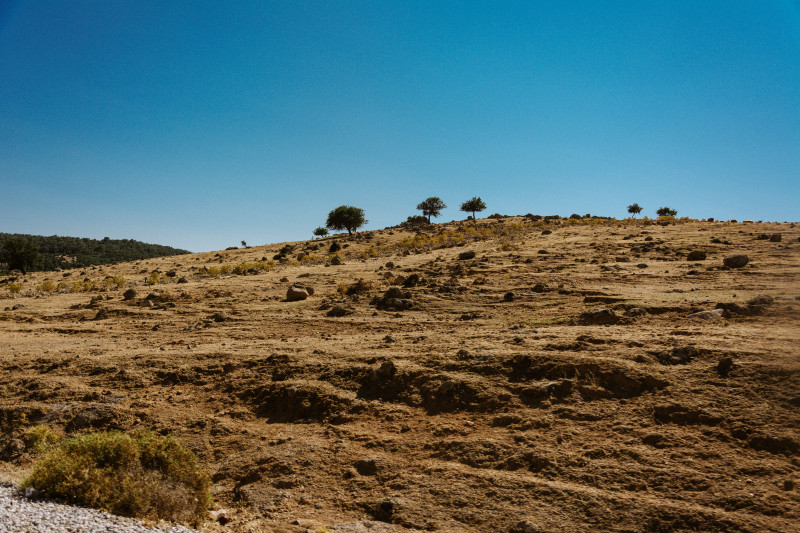 Photos gratuites de à distance, arbres isolés, aride