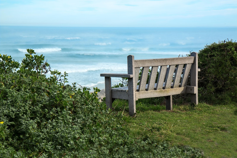 banc, bord de mer, vue, paisible, mer, vacances, l'été, océan, extérieur, ciel, parc, vacance, ensoleillé, paysage marin, liberté, climat, conditions météorologiques, saison, environnement, isolé, nature, seule, contentement, oyster bay, cap sud, afrique 