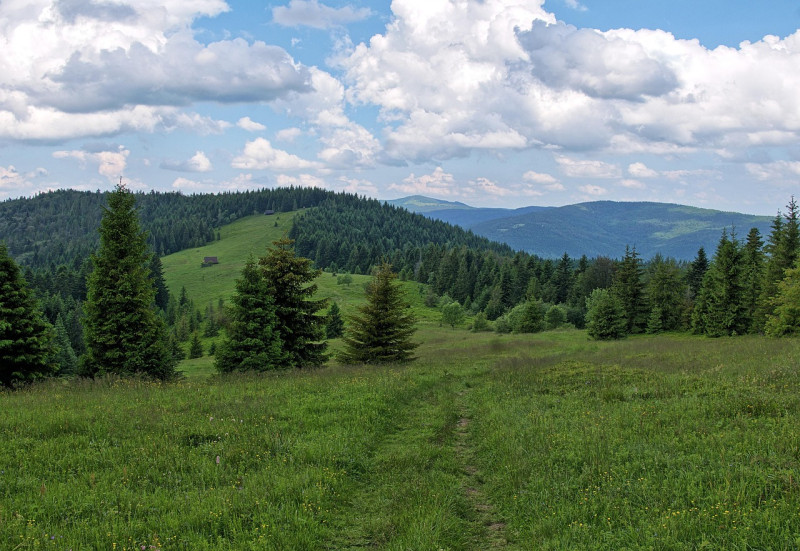 montagnes, des nuages, paysage, ciel, météo, nature, figure, ambiance, la scène, forêt, polyana, chaud, pologne, climat, l'été