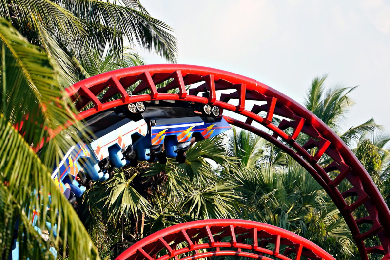 roller coaster, parc d'attractions, tour de parc d'attractions, balade au parc à thème, palmiers, rouge