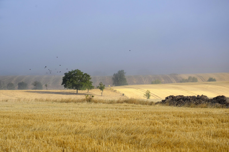 campagne, brouillard, champs, récolte, chaumes, nature, paysage, rural, nuages, été, scénique, countryside, fog, fields, harvest, stubble, landscape, clouds, summer, scenery