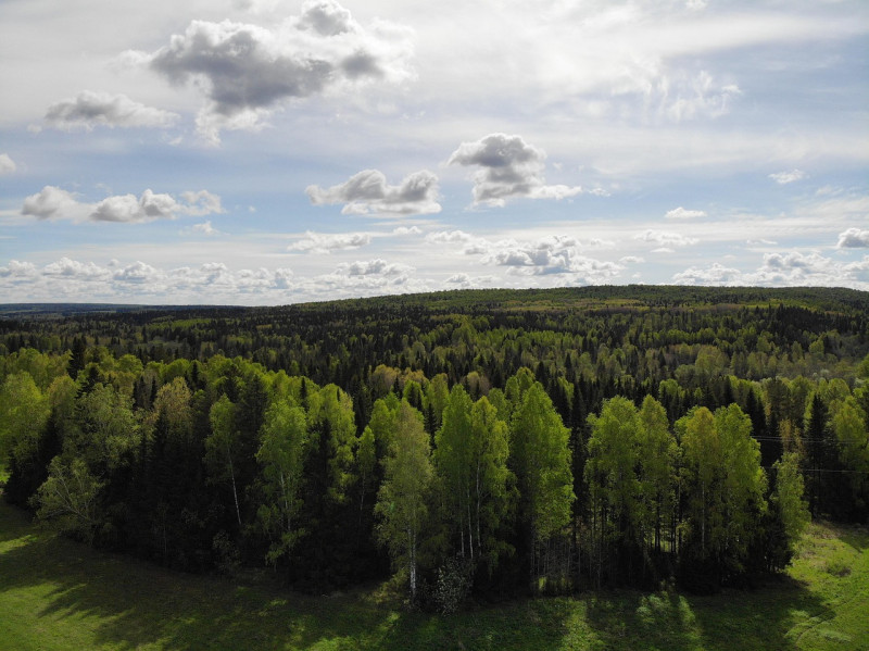 aerial, cloud, des nuages, country, countryside, environnement, domaine, des champs, forêt, grass, vert, hill, paysage, nature, outdoor, en plein air, panoramic, ciel, summer, sunny, arbre, vue