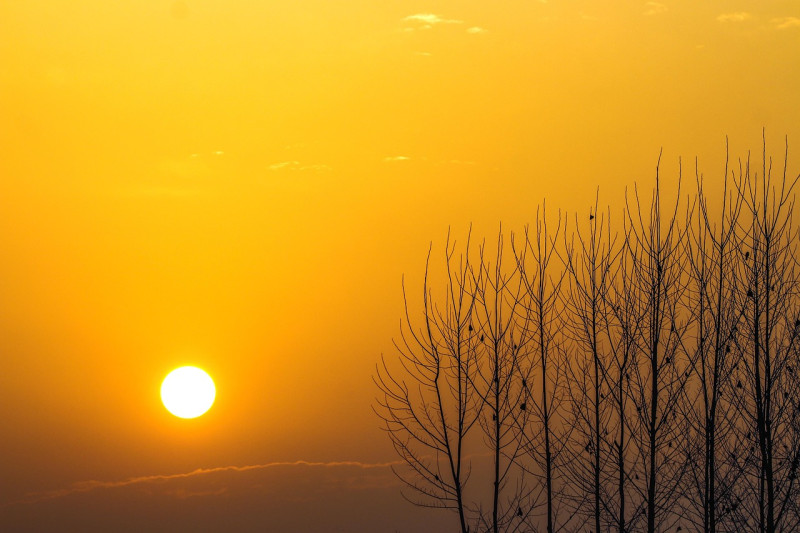 lever du soleil, ensoleillement, ciel, lumière du soleil, nature, le coucher du soleil, ciel bleu, matin, liberté, orange, motivation, extérieur, soleil, paysage, l'été, scénique, soirée, léger, horizon, ensoleillé, des nuages, l'eau, bleu, couleur, crépu