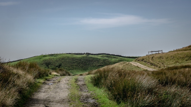 angleterre, nature, countryside, field, outdoors, paysage, gazon