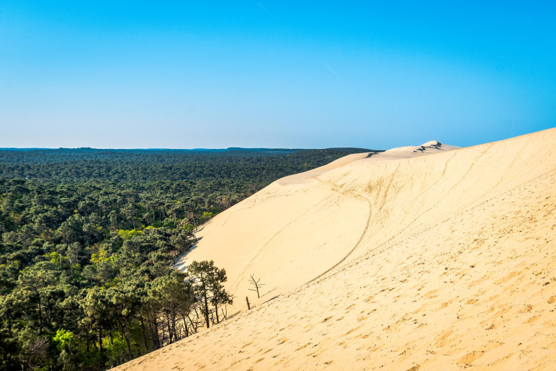 7 expériences à vivre absolument cet été en Gironde pour des vacances inoubliables