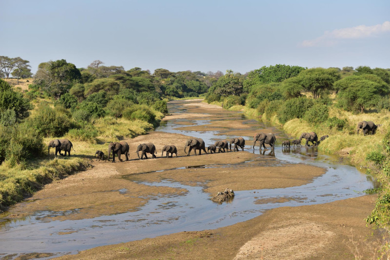 Voyagez au Kenya en juin