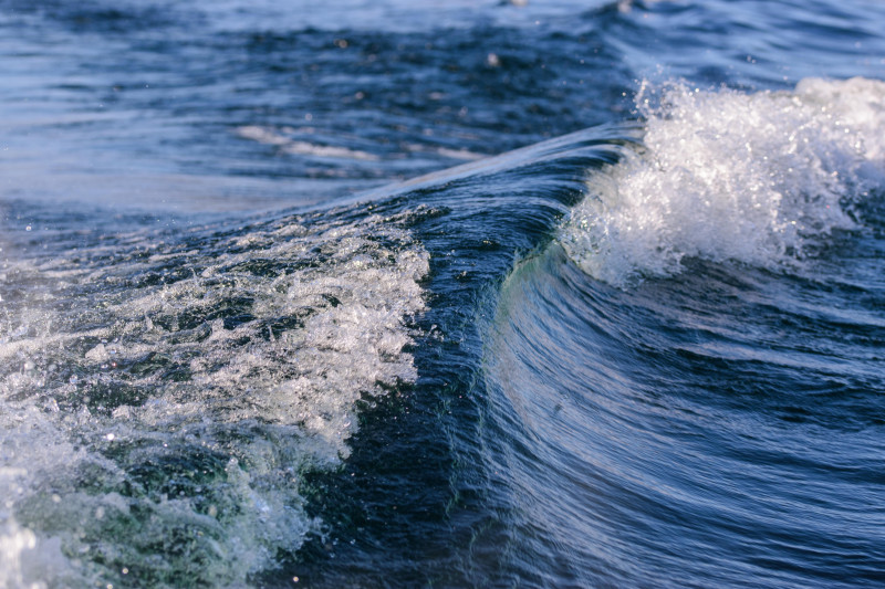 Photos gratuites de aquatique, beauté naturelle, bleu