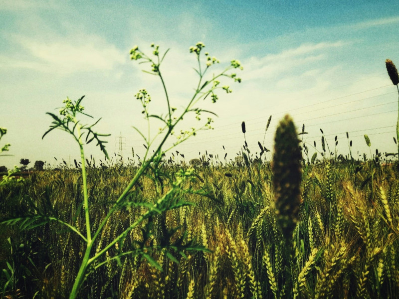 When the wind blows...