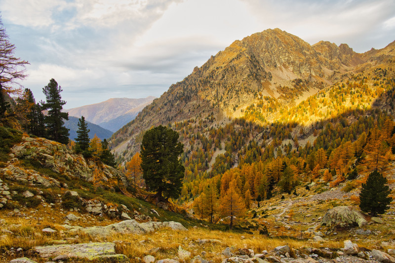 Scène d'automne vibrante à Saint-Martin-Vésubie, Provence-Alpes-Côte d'Azur, France.