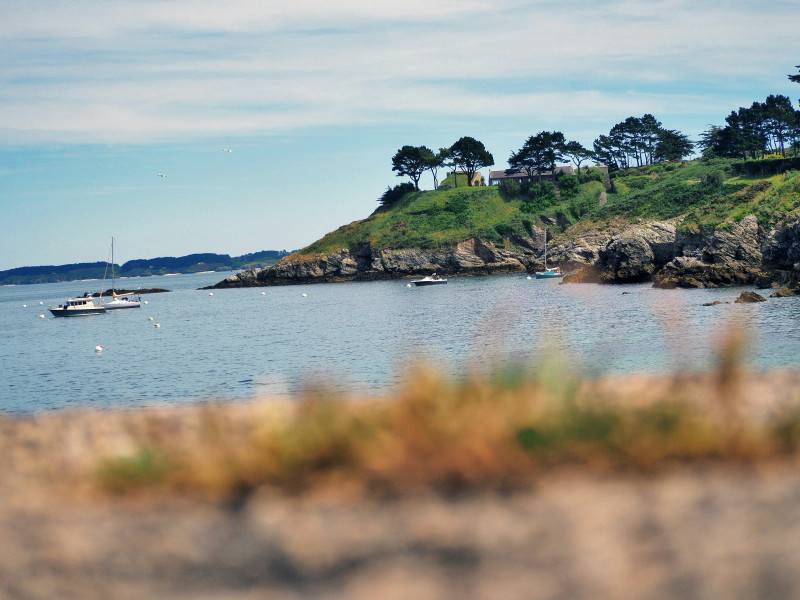 Landscape

Copyright is appreciate.
Thank you.

© by Loik_marras from unsplash

