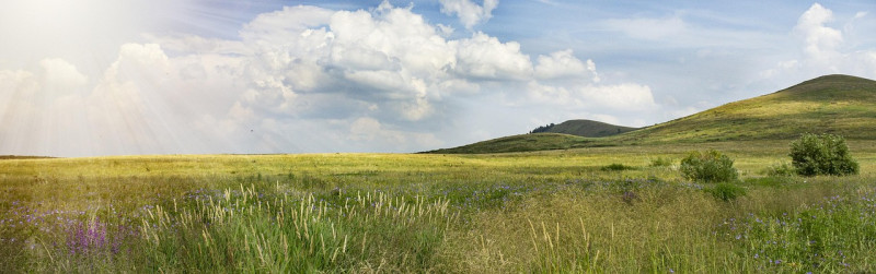 summer, lumière du soleil, fonds d'écran, paysage, prairie, domaine, floral, foothills, fond d'écran 4k 1920x1080, beau fond d'écran, peace, freedom, fond d'écran hd, idyllic, fond d'écran d'ordinateur portable, horizon, arrière-plans sympas, shiny, rural