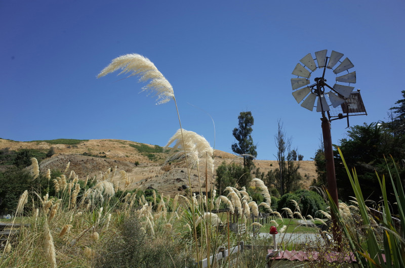 A windmill and a wind mill in a field