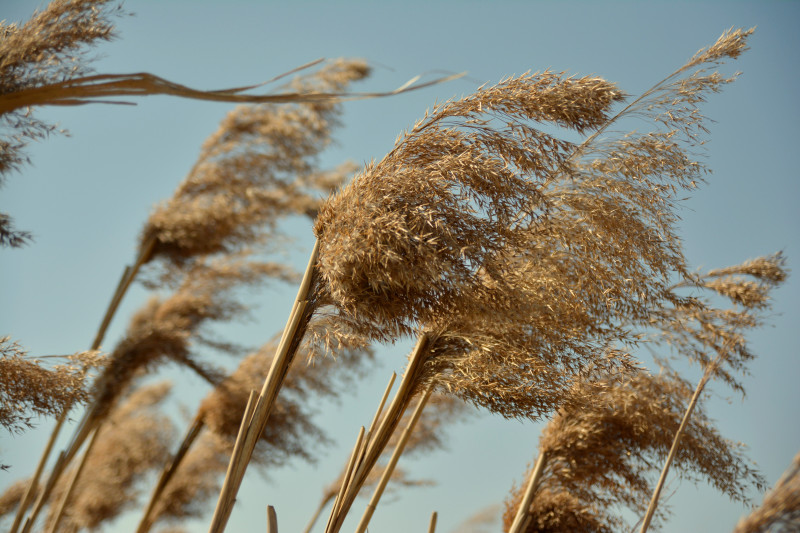 Windy moment