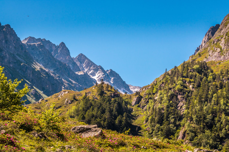 Vue imprenable sur les Pyrénées, végétation luxuriante et ciel flamboyant en Occitanie, France.
