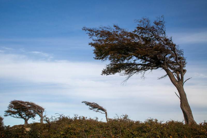it is always windy at the end of the world