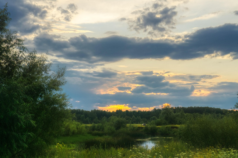 forêt, zone humide, russie, nature, soirée, ciel, des nuages, sibérie, paysage, des arbres, fleuve, le coucher du soleil