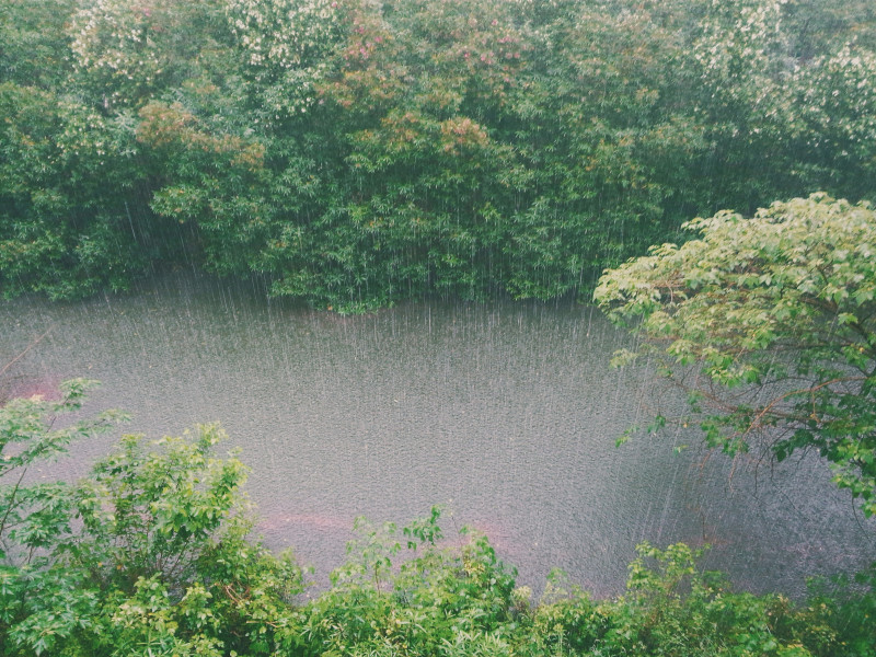 Downpour on a river
