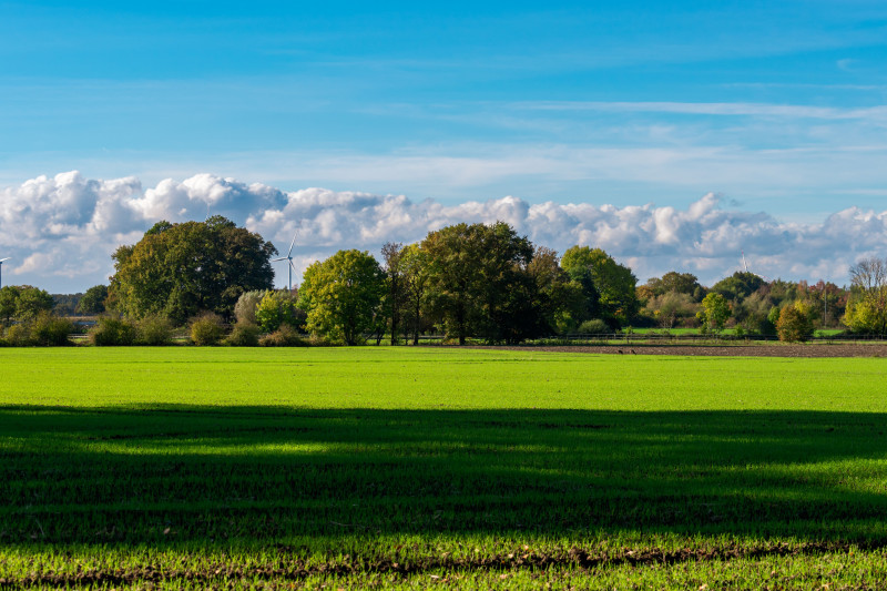 Paysage rural idyllique avec des champs verts et des éoliennes lointaines sous un ciel bleu.