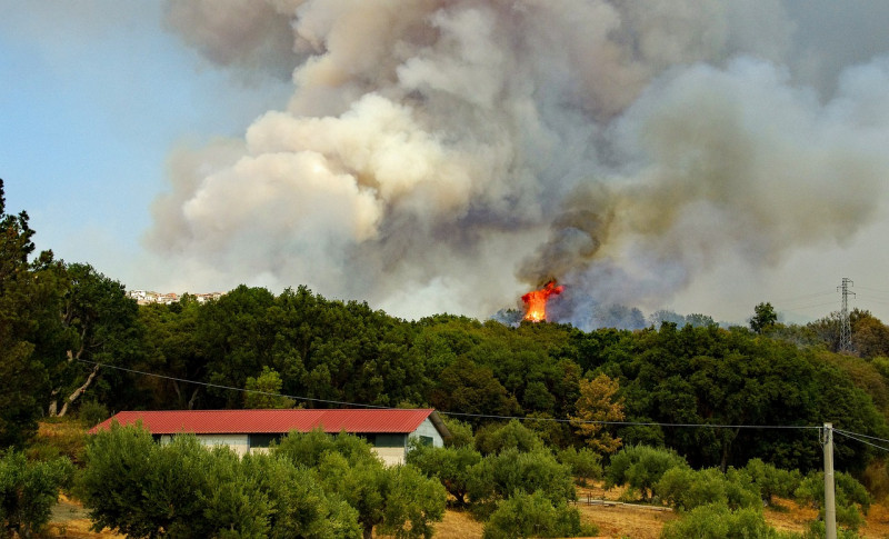 incendie, flammes, été, affleurer, flamber, pieu, l'incendie de forêt, la forêt en flammes, nature, fumée