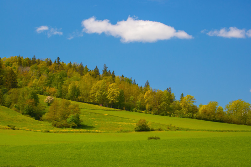 Collines d'un vert éclatant et ciel bleu à Jönköping au printemps.