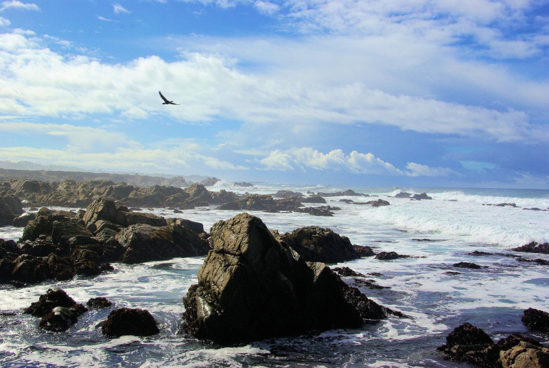 talahi, côtier, côte, plage, vagues, océan, mer, l'eau, ciel, sable, voyager, bleu, littoral, nature, tourisme, paysage, vacances, bord de mer, ensoleillé, l'été, scénique, baie, paysage marin, destination, vacance, rive, détendez-vous, touristique, le su