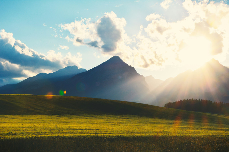 Field Sunset