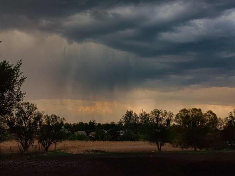De sombres nuages d'orage s'amoncellent au-dessus d'un champ rural, laissant présager une pluie imminente. Capturee avec précision, cette scène évoque un changement climatique imminent.