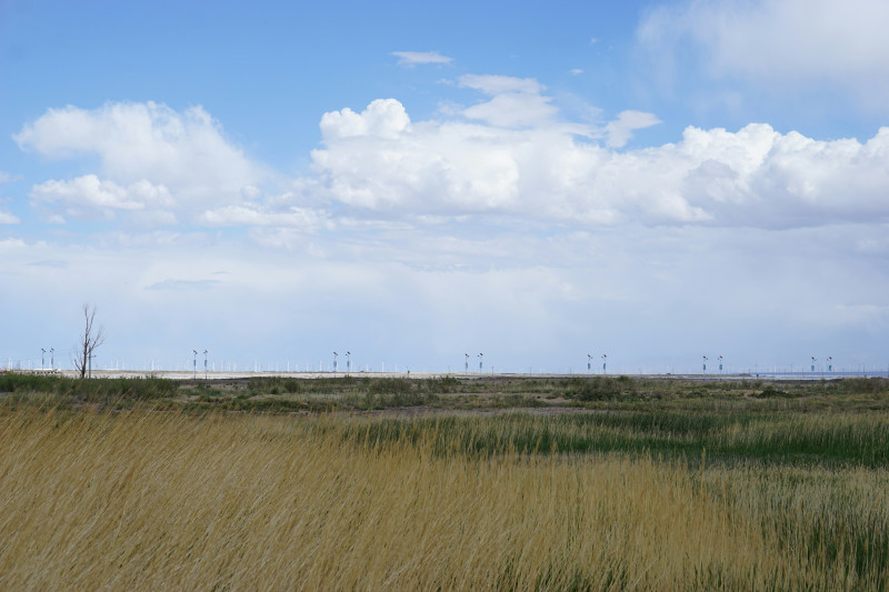 Vast field under a cloudy blue sky