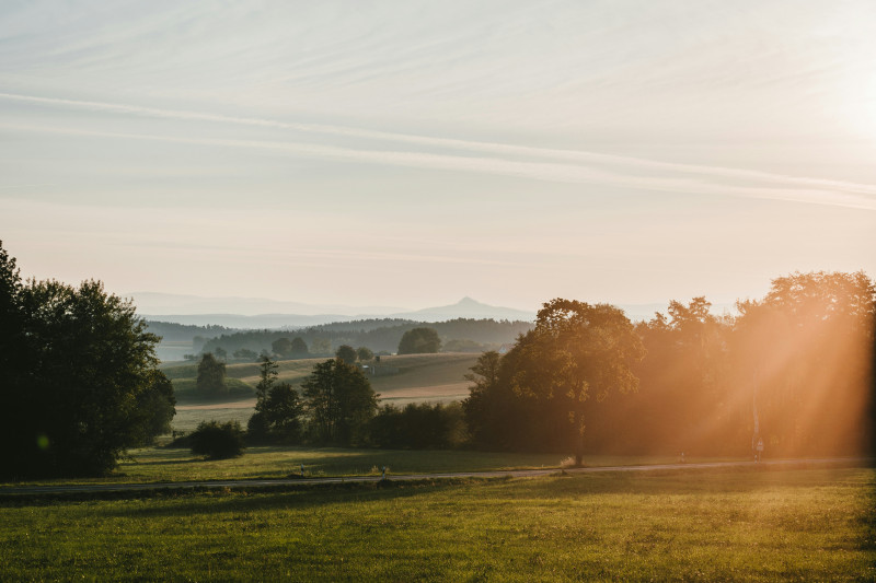 green grass field during sunset