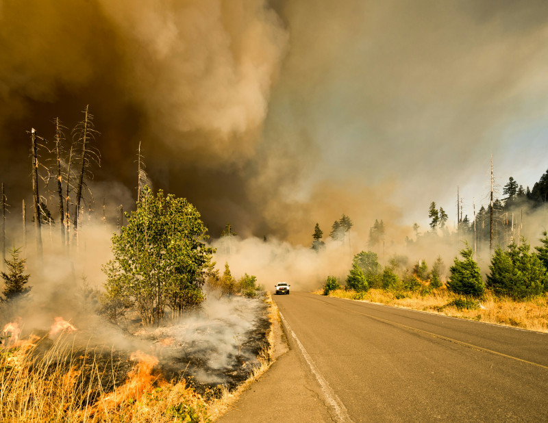 We were on our way to a lookout to photograph activity on the Jones Fire as part of our work for the fire management team. We heard radio traffic about a spot fire that has jumped the road we were traveling on. We drove up to find controlled chaos and ver