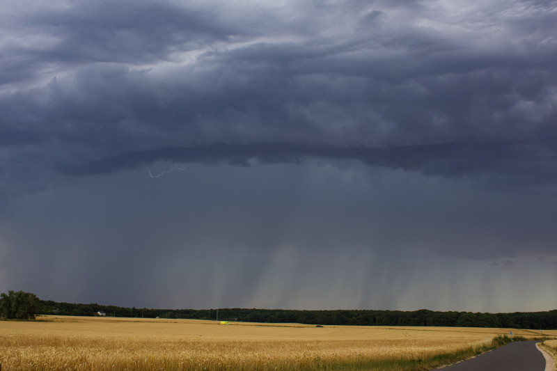 Vue saisissante d'un orage avec des éclairs au-dessus d'un champ de blé éclatant sous un ciel nuageux.