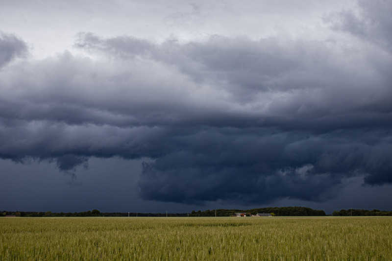 De sombres nuages ​​d'orage s'amoncellent au-dessus d'un champ de blé verdoyant dans la campagne, offrant un tableau météorologique spectaculaire.