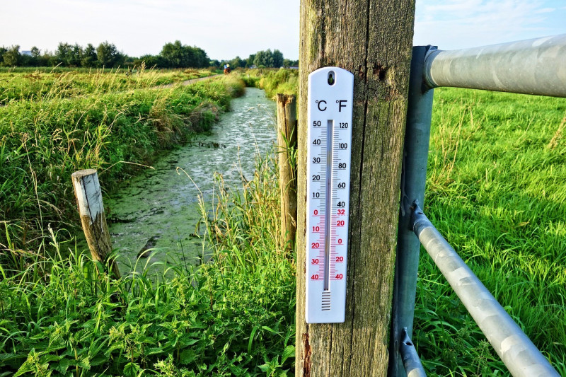 thermomètre, température, celsius, degrés fahrenheit, thermomètre extérieur, publier, clôture, poteau de clôture, fossé, sur le terrain, thermomètre sur le post, vert e-mail, champ vert, thermomètre, thermomètre, thermomètre, thermomètre, thermomètre, tem
