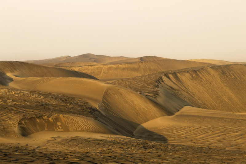 temps sec, désert, dune, chaud, sable, la nature, paysage, sec, dunes, paysage de désert, séché, vide, aride, solitaire, désert, désert, désert, désert, désert, paysage, vide, vide, vide, aride, solitaire