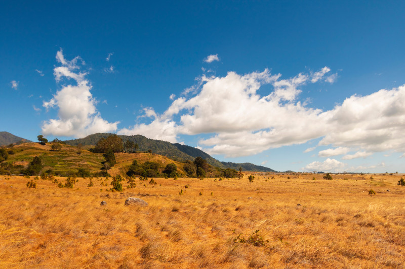 Un paysage pittoresque de la campagne avec de l'herbe dorée sèche et des montagnes majestueuses sous un ciel bleu éclatant parsemé de nuages blancs.