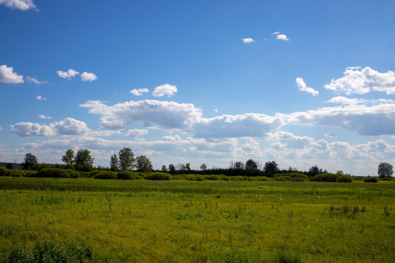 Paysage rural vaste avec des champs verdoyants et un ciel bleu vibrant rempli de nuages.