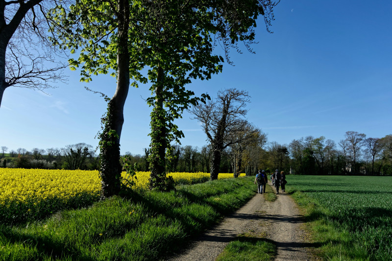 Walking with ALBG in normandy, near Asnelles