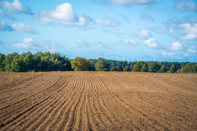 Champ fraîchement labouré avec un ciel bleu clair et des arbres au loin.