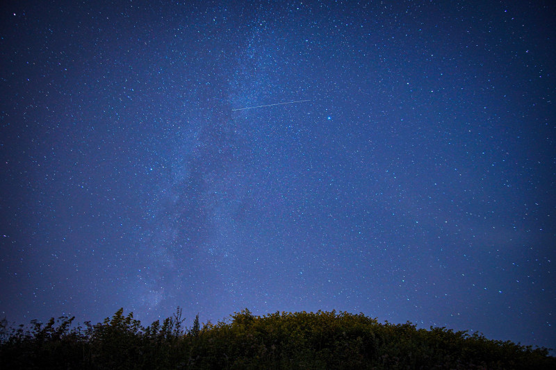 Magnifique ciel nocturne étoilé avec une étoile filante et la Voie lactée sur une silhouette d'arbres.