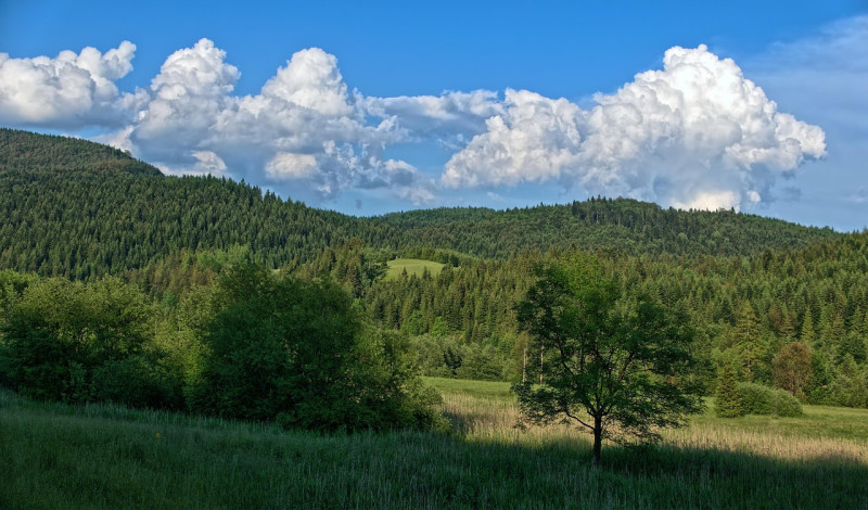 montagnes, des nuages, paysage, ciel, météo, nature, figure, ambiance, la scène, forêt, polyana, chaud, pologne, climat, l'été
