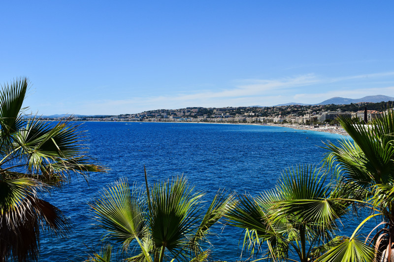 Une vue pittoresque de la côte azur et des palmiers en Provence-Alpes-Côte d'Azur, France.