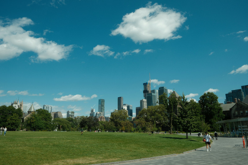 City skyline seen from a park on a sunny day